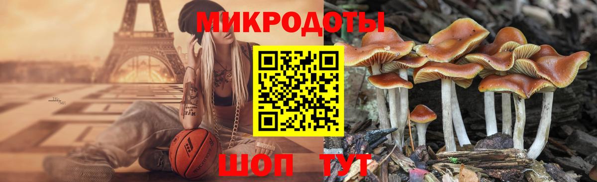 Галлюциногенные грибы мицелий  Галлюциногенные грибы GOLDEN TEACHER  Вход с VPN  Выборг 