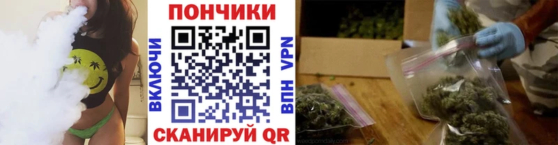 Конопля OG Kush  Выборг 